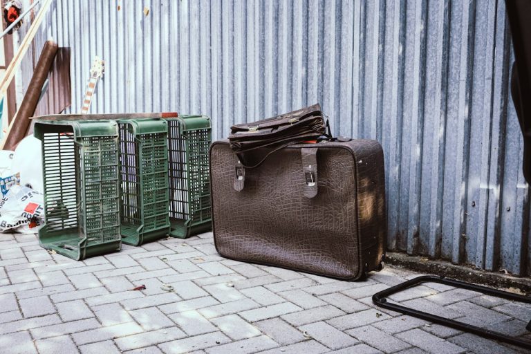 Game Bags 101: A Comprehensive Buying Guide